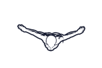 LOGO_CLIFF_DIVING_26 white png